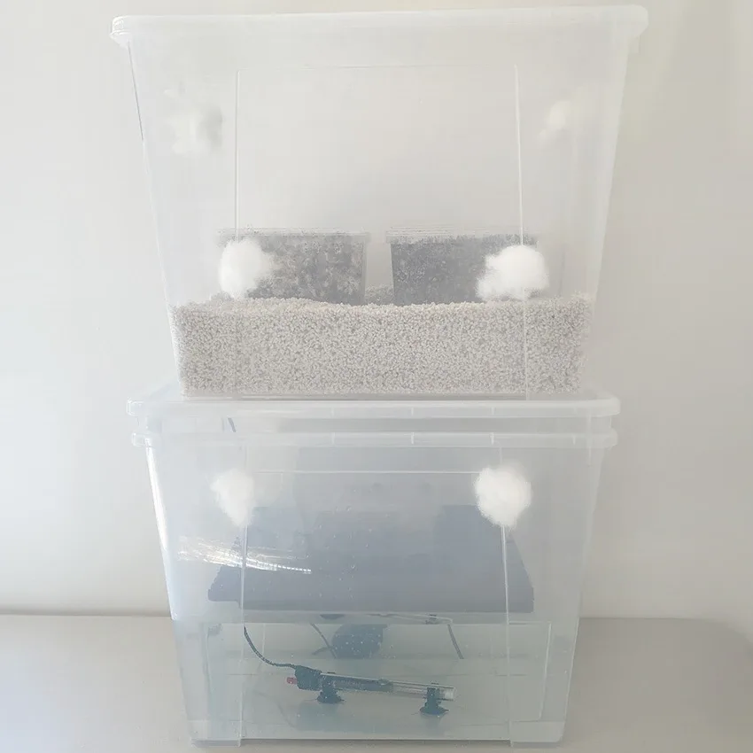 The full CyLab stack: incubator above, heated water reservoir below, cotton filter plugs in place