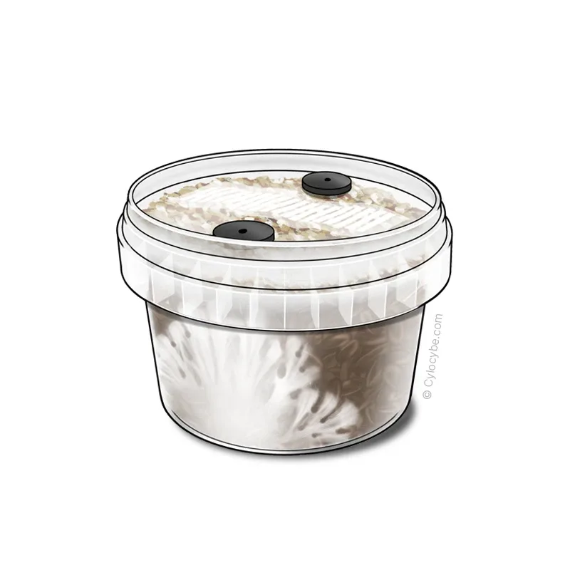 Illustration of a MycoPot: a clear pot of substrate with a black injection port, white mycelium spreading inside
