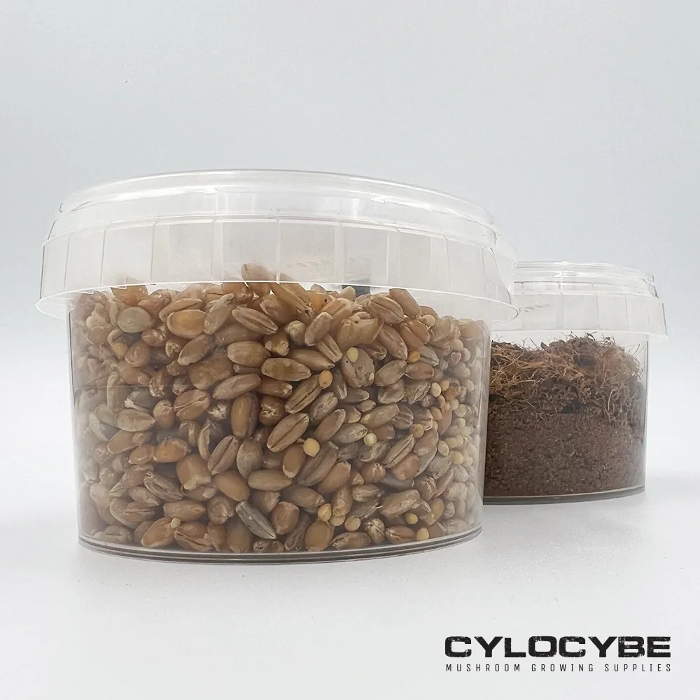 Two MiNO kit tubs, one of rye grain and one of dark coir, lids fitted