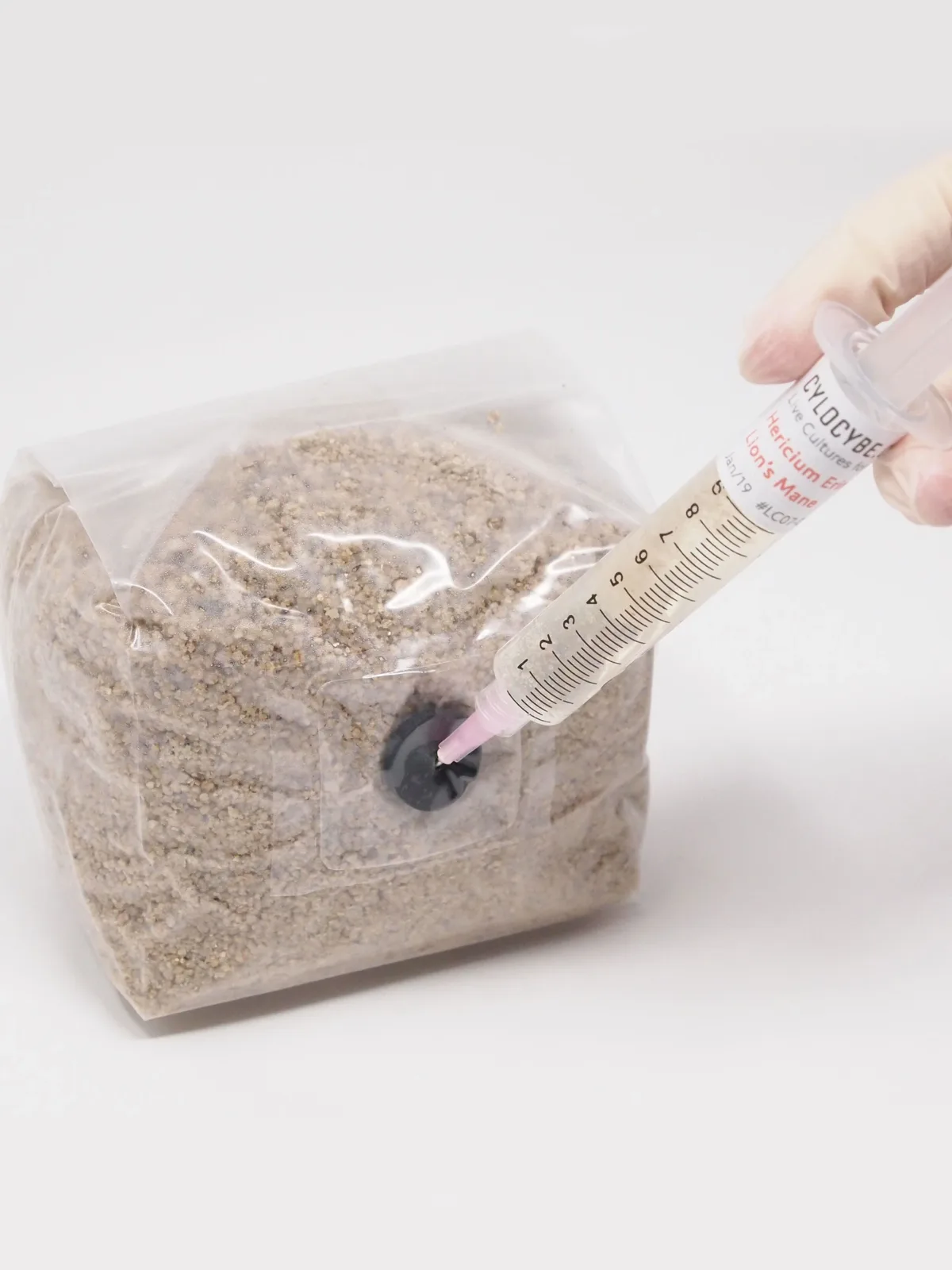 Inoculating a PF-Tek MycoBag through its injection port