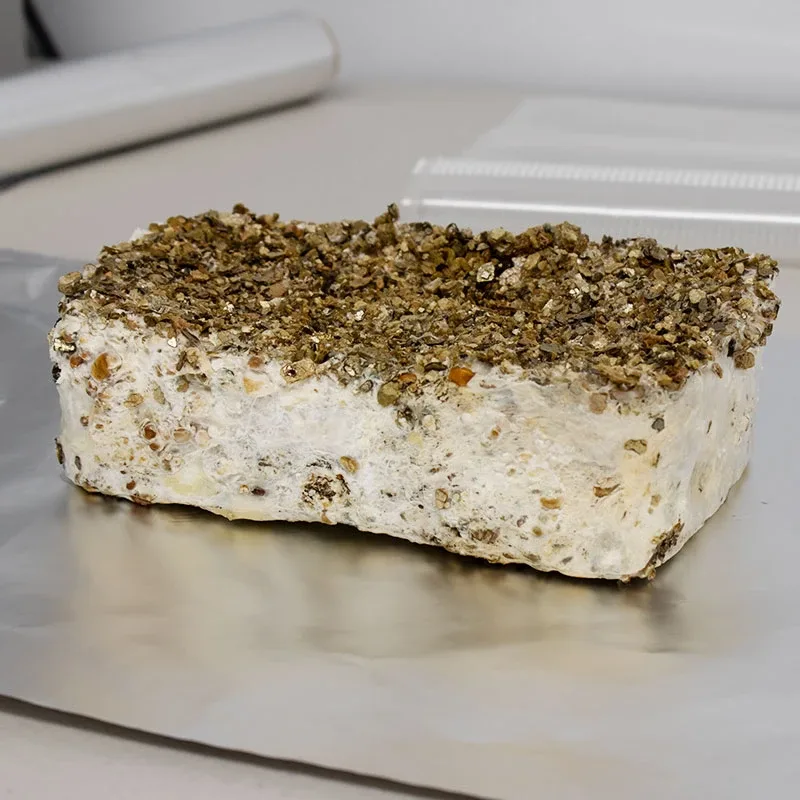 A fully colonised MykoBox cake out of its box, on tin foil
