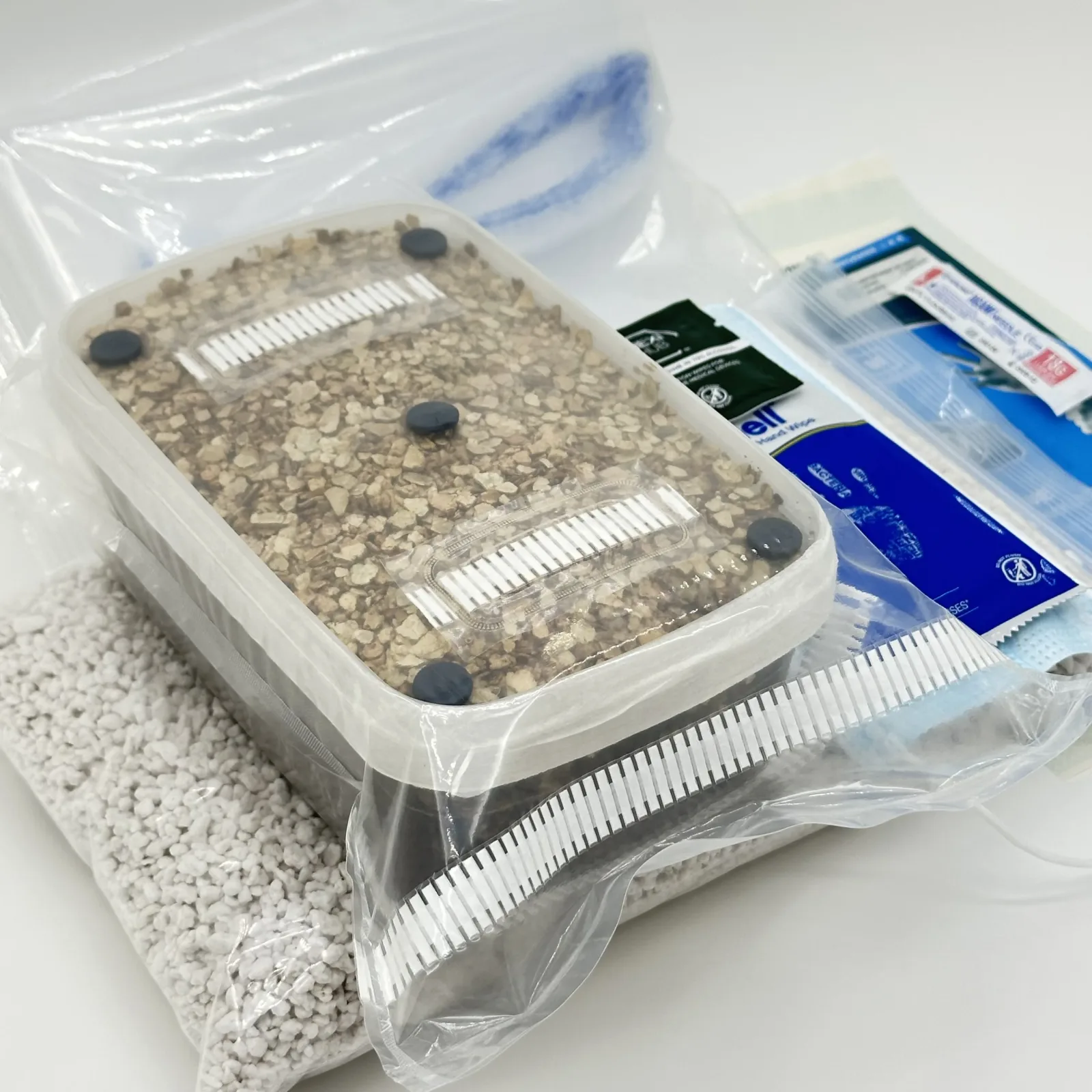 Everything in the XL Cylocybe Special MykoBox Grow Kit: the MykoBox, perlite, grow tent and Hygiene Kit