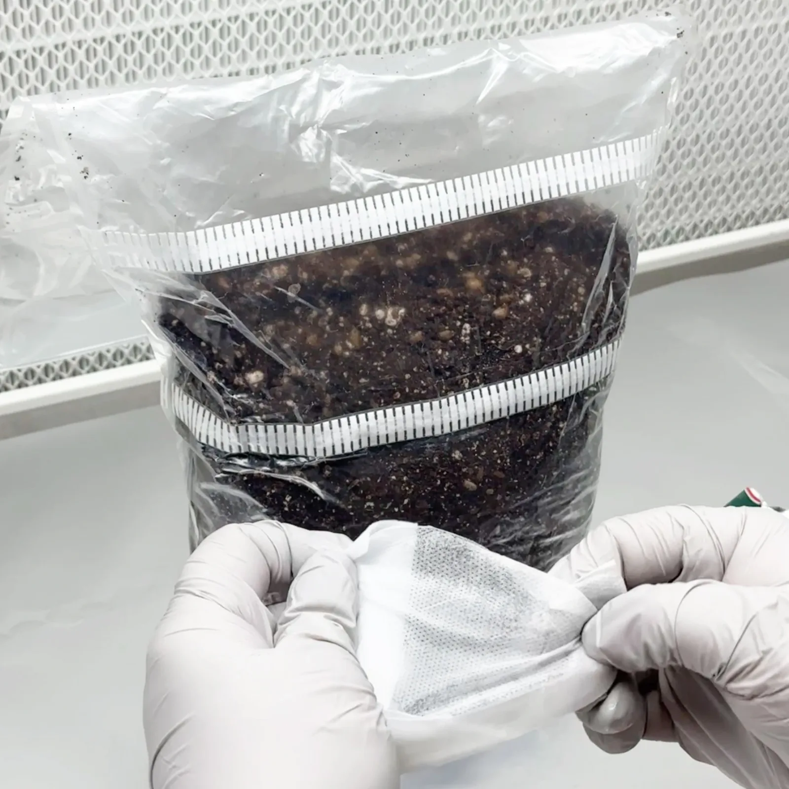 XXL MycMonster Grow Kit - Image 3