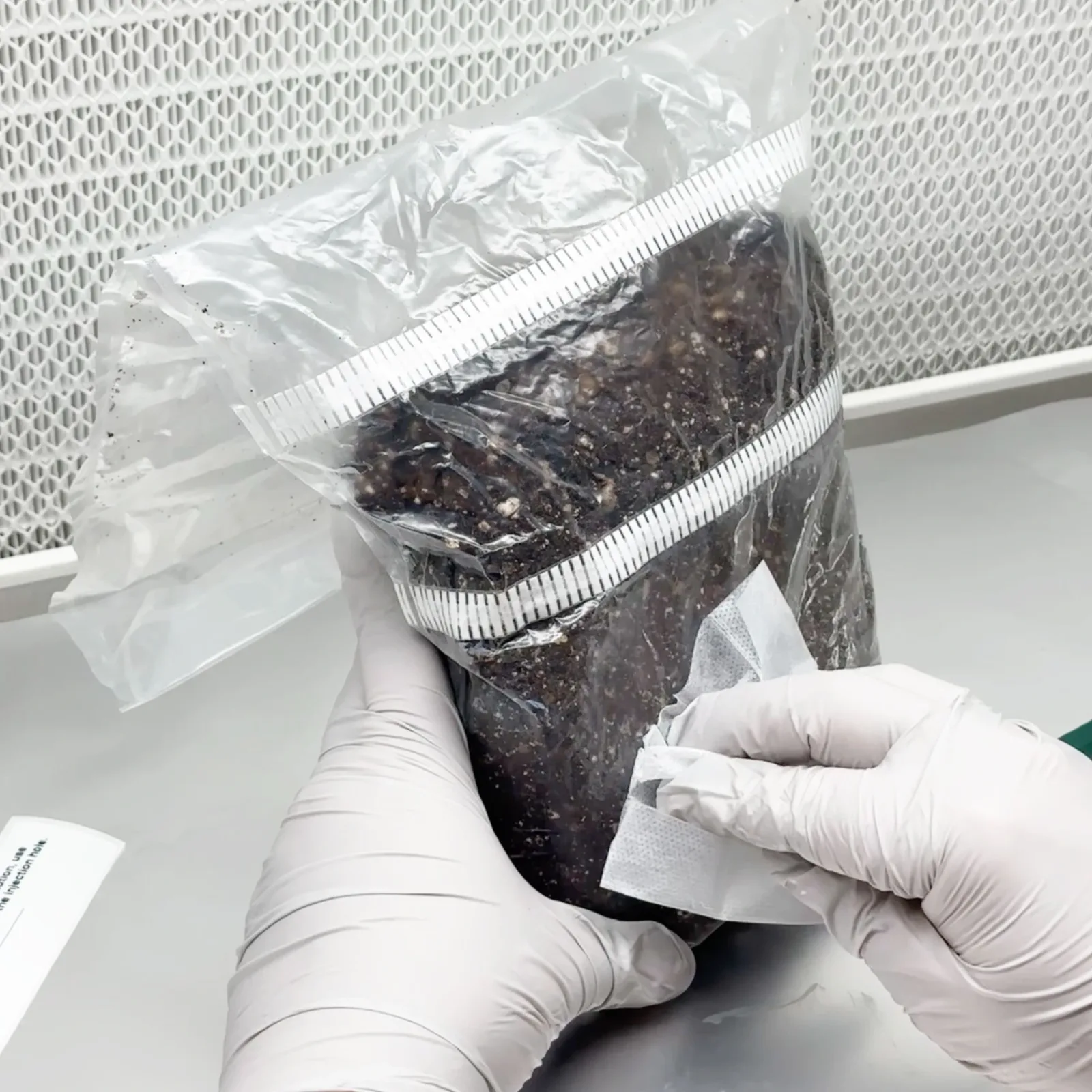 XXL MycMonster Grow Kit - Image 6