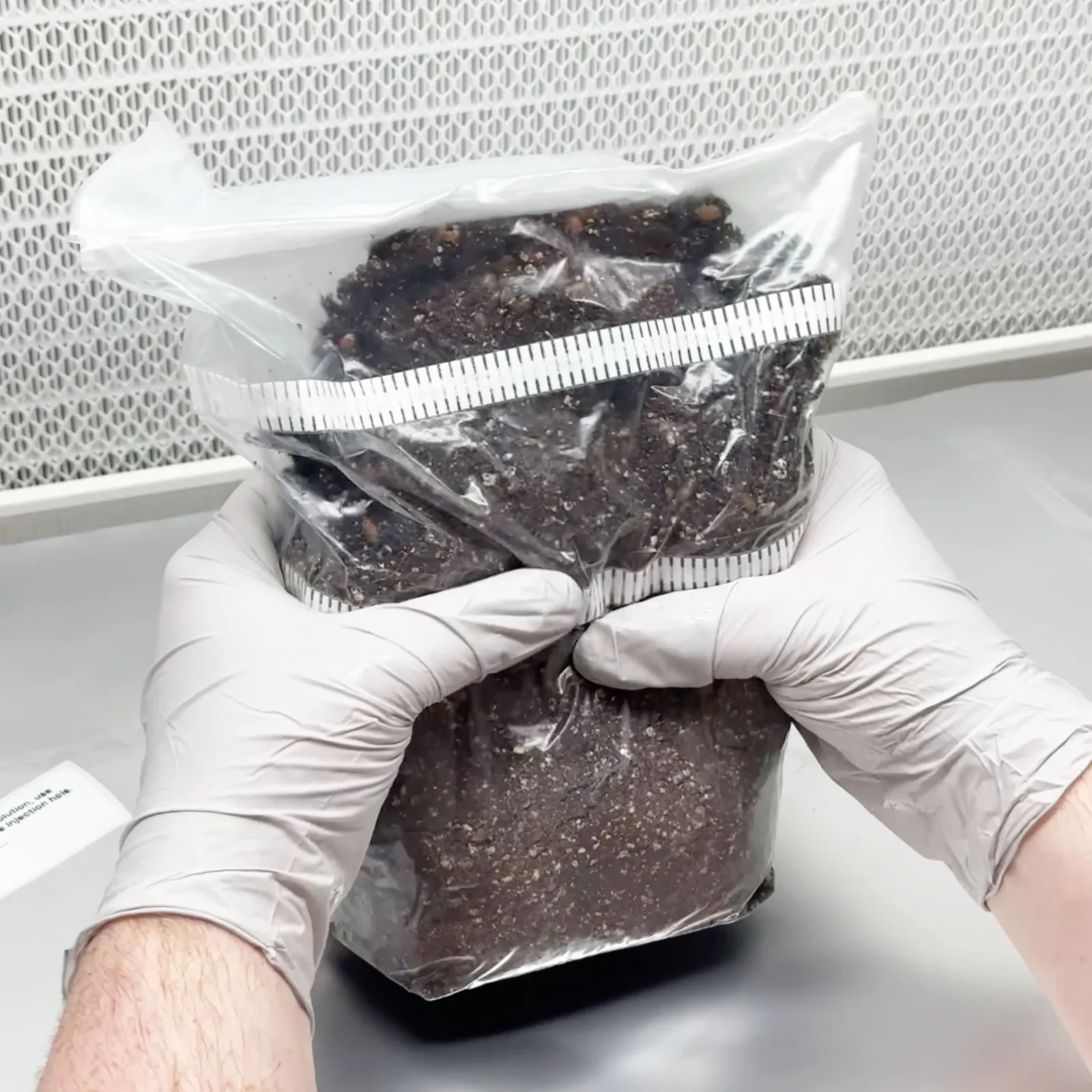 XXL MycMonster Grow Kit - Image 5